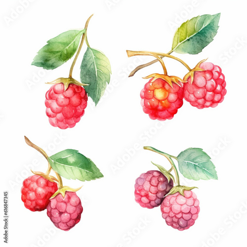Vibrant watercolor image showcasing a raspberry.