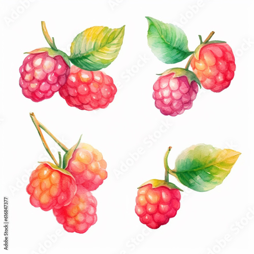 Intriguing watercolor depiction of a raspberry fruit.