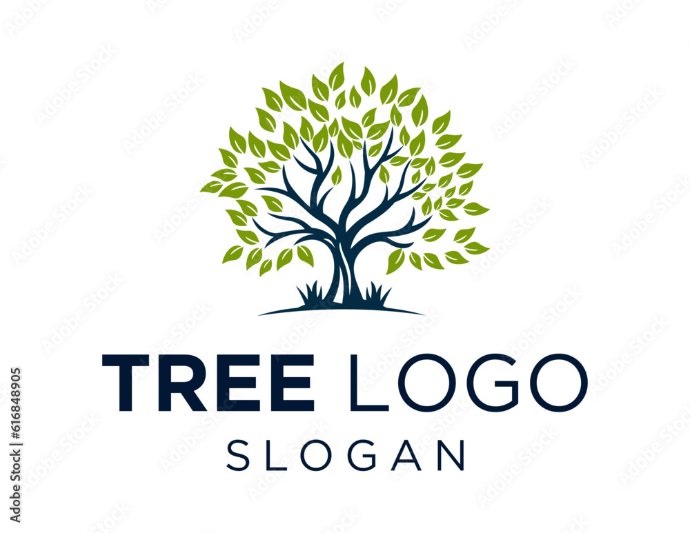 Obraz premium Logo design about Tree on a white background. made using the CorelDraw application.