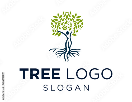 Logo design about Tree on a white background. made using the CorelDraw application. © fatin