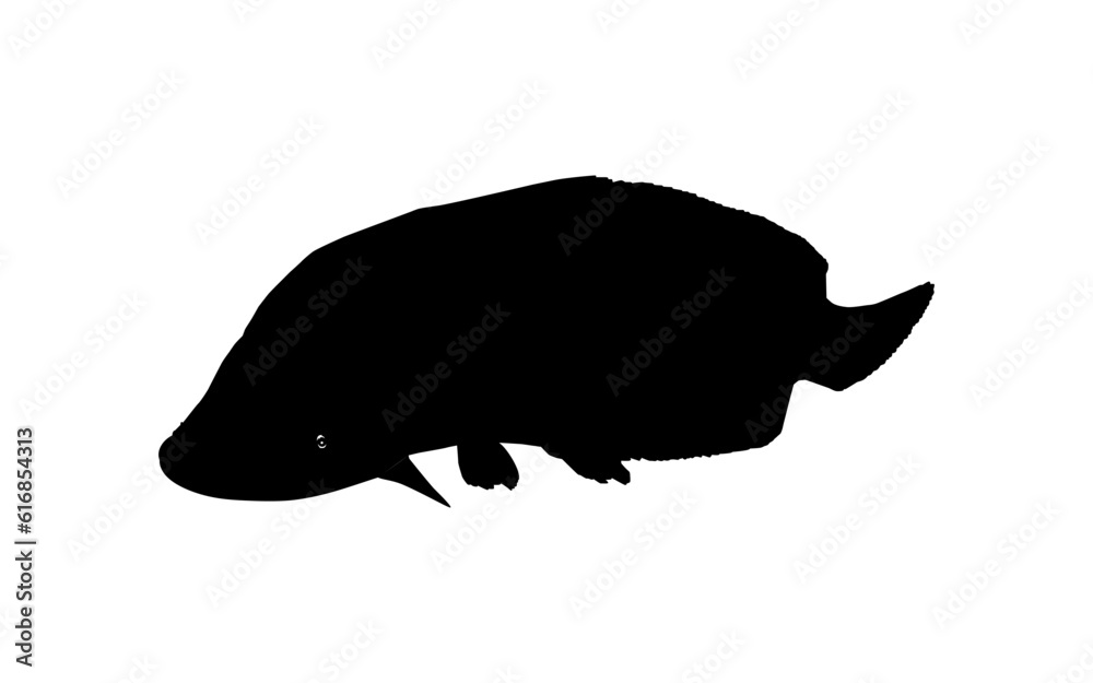 Silhouette of the Fish Arapaima, or pirarucu, or paiche, for Icon, Symbol, Pictogram, Art Illustration, Logo Type, Website or Graphic Design Element. Vector Illustration Silhouette of the Fish Arapaima, or pirarucu, or paiche, for Icon, Symbol, Pictogram, Art Illustration, Logo Type, Website or Graphic Design Element. Vector Illustration