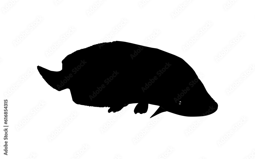 Silhouette of the Fish Arapaima, or pirarucu, or paiche, for Icon, Symbol, Pictogram, Art Illustration, Logo Type, Website or Graphic Design Element. Vector Illustration Silhouette of the Fish Arapaima, or pirarucu, or paiche, for Icon, Symbol, Pictogram, Art Illustration, Logo Type, Website or Graphic Design Element. Vector Illustration