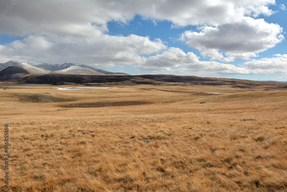 A huge flat steppe with dry, yellowed grass at the foot of snow-covered mountain ranges on a sunny autumn day.