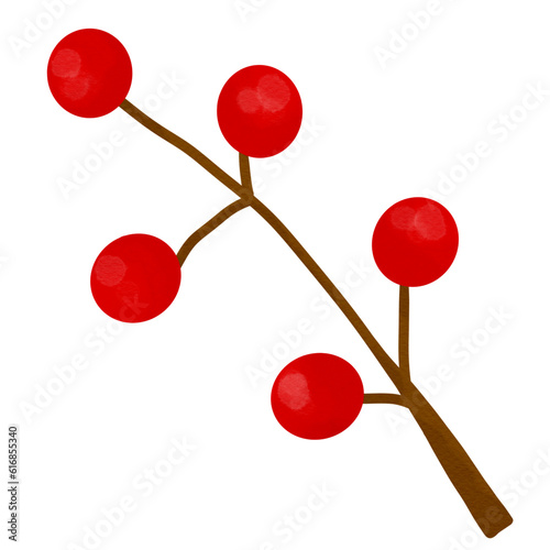 cherry  branch  christmas  autumn  plant  fruit  food  red 