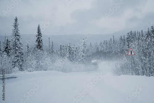 winter and snowy road through the forest, snowy fir trees in Siberia