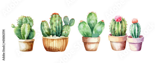 Cactus in pot watercolor isolated on white background. Set of greenery cactus flower plant painting vector illustration