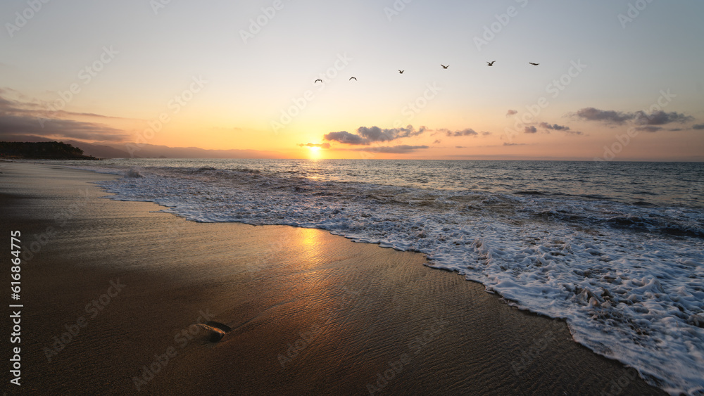 Sunset Ocean Sea Birds Inspirational Nature Landscape