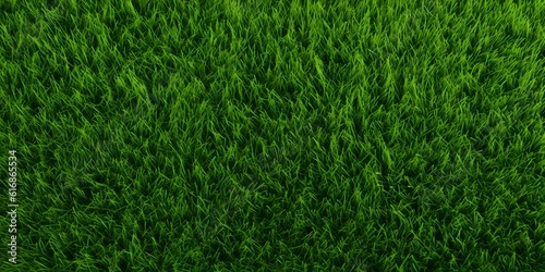 Wallpaper Mural Wide format background image of green carpet of neatly trimmed grass. Beautiful grass texture on bright green mowed lawn, field, grassplot in nature Torontodigital.ca
