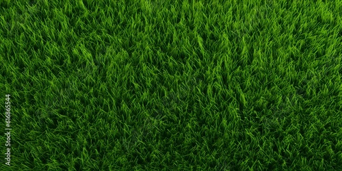 Wide format background image of green carpet of neatly trimmed grass. Beautiful grass texture on bright green mowed lawn, field, grassplot in nature