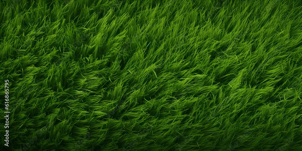 Fototapeta premium Wide format background image of green carpet of neatly trimmed grass. Beautiful grass texture on bright green mowed lawn, field, grassplot in nature