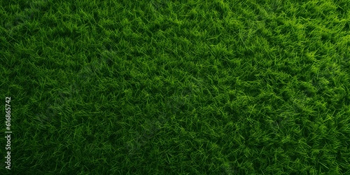 Wide format background image of green carpet of neatly trimmed grass. Beautiful grass texture on bright green mowed lawn, field, grassplot in nature © Jing