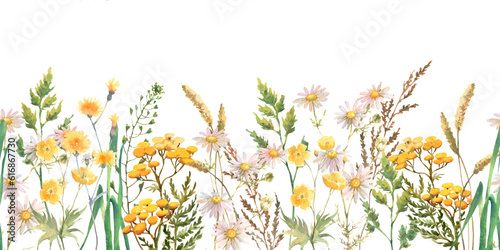 Fototapeta Naklejka Na Ścianę i Meble -  Seamless border with Herbs and wild flowers, leaves, butterflies. Botanical Illustration on white background. Template with place for text.