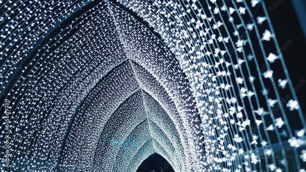 Stunningly Beautiful White Light Display in Sydney Botanic Gardens during Vivid in Slow Motion Tracking Shot