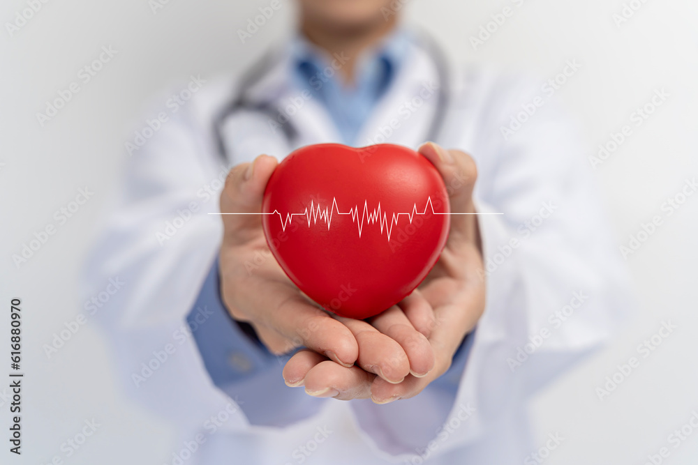 Doctor holding red heart shape in hand and modern medical network icon connected to virtual screen medical technology network concept.