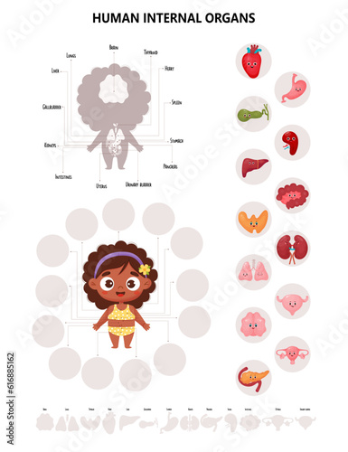 Anatomy human body. Infographics with cute black ethnic girl. Visual scheme internal female organs cartoon characters, names and locations. Vector illustration. Medical kids educational concept.