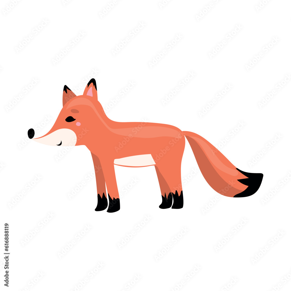 Cute cartoon animal. Cute character - fox on white background. Cute cartoon animal. Cute character - fox on white background.