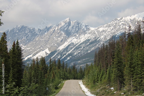 Maligne Lake Road, Jasper National Park, Alberta