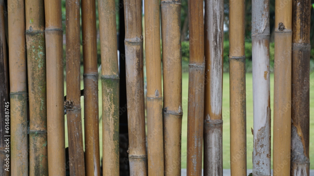 Bamboo background. Dry bamboo background, natural concept Bamboo background. Dry bamboo background, natural concept