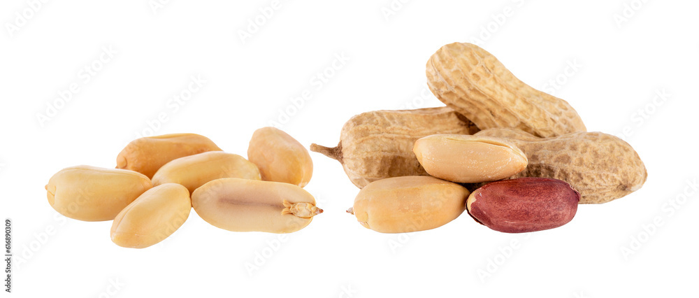 Fototapeta premium peanuts seeds isolated on transparent png