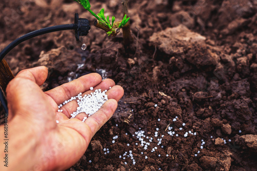 Agriculture fertilizes the plants to eat to nourish the soil and increase productivity.