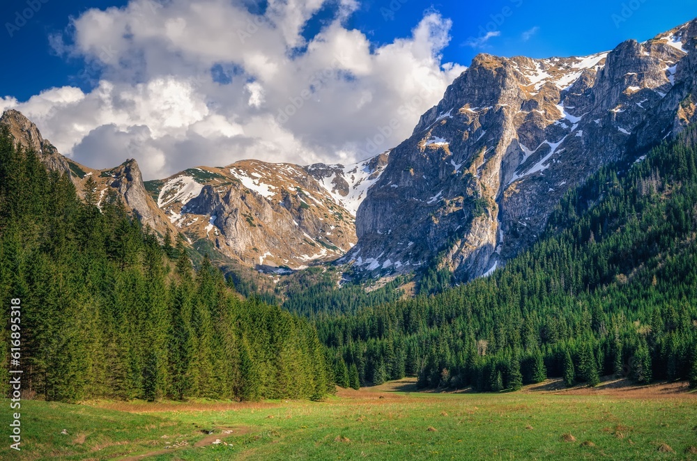 Spring mountain landscape in Polish mountains. Small Valley Meadows in the Western Tatra Mountains.