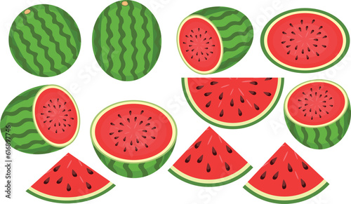 watermelon vector design