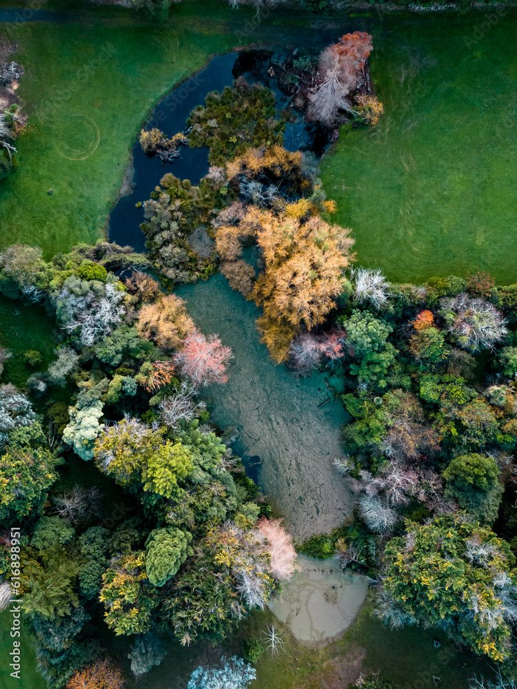 A drone shot looking directly down at a pond which is surrounded by beautiful colorful plant life
