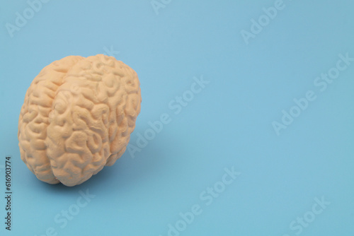 Human brain on blue background with space for text.