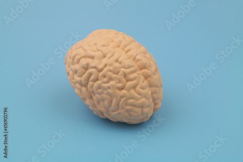 Human brain on blue background. 