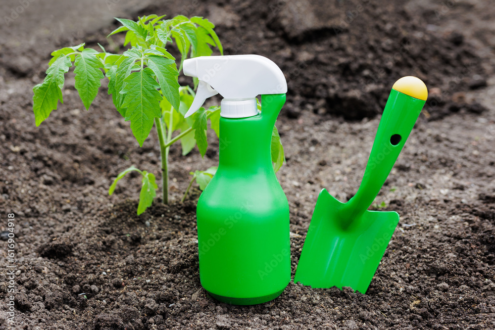Green scoop, spray bottle and tomato sproud on the ground Green scoop, spray bottle and tomato sproud on the ground