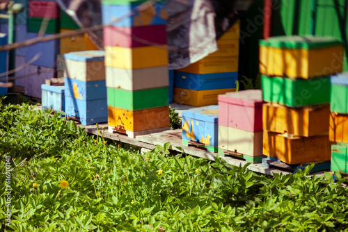 stack of colourful hives