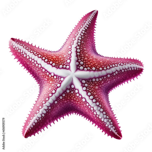 color star fish isolated on white