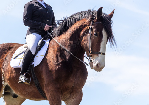 A woman rides a horse against a blue sky
