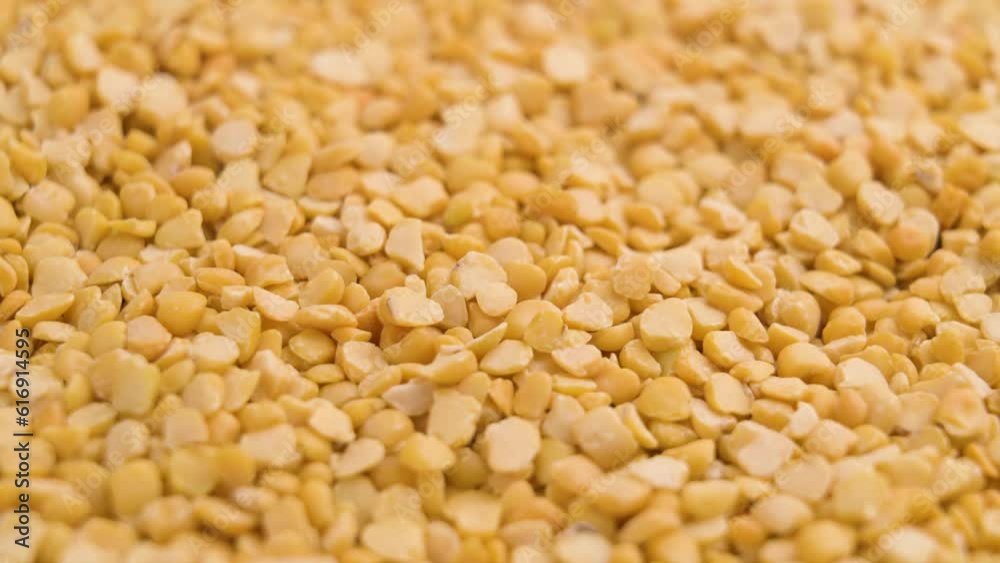 Yellow crushed dry fava beans falling in slow motion. Vegetable protein. Uncooked healthy legume. Rotation