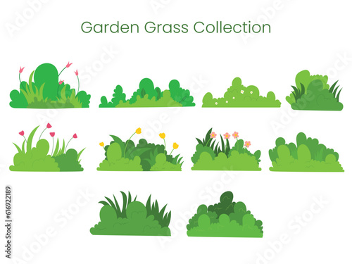 Set collection garden grass handdrawn vectoe