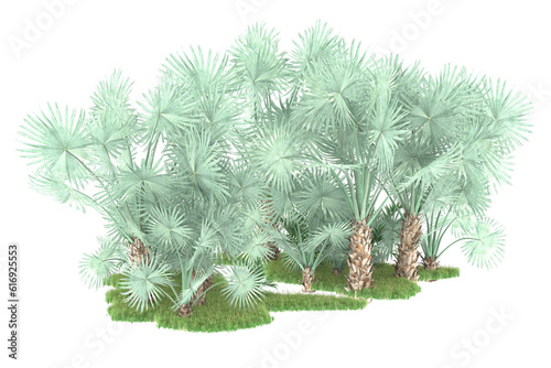 Tropical forest isolated on transparent background. 3d rendering - illustration