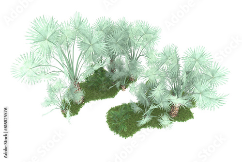 Tropical forest isolated on transparent background. 3d rendering - illustration