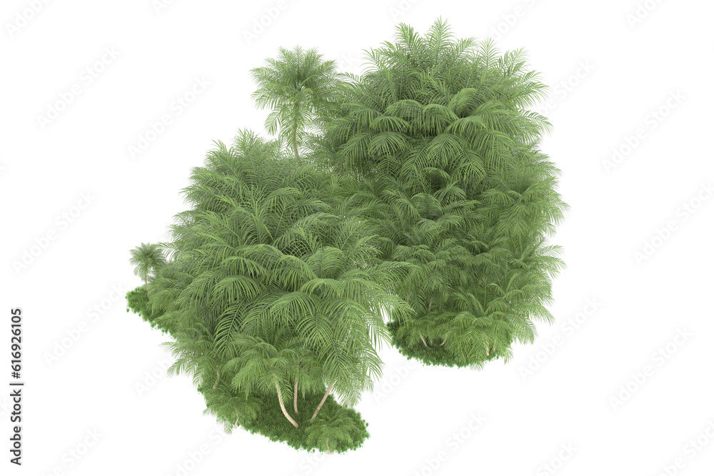 Tropical forest isolated on transparent background. 3d rendering - illustration Tropical forest isolated on transparent background. 3d rendering - illustration