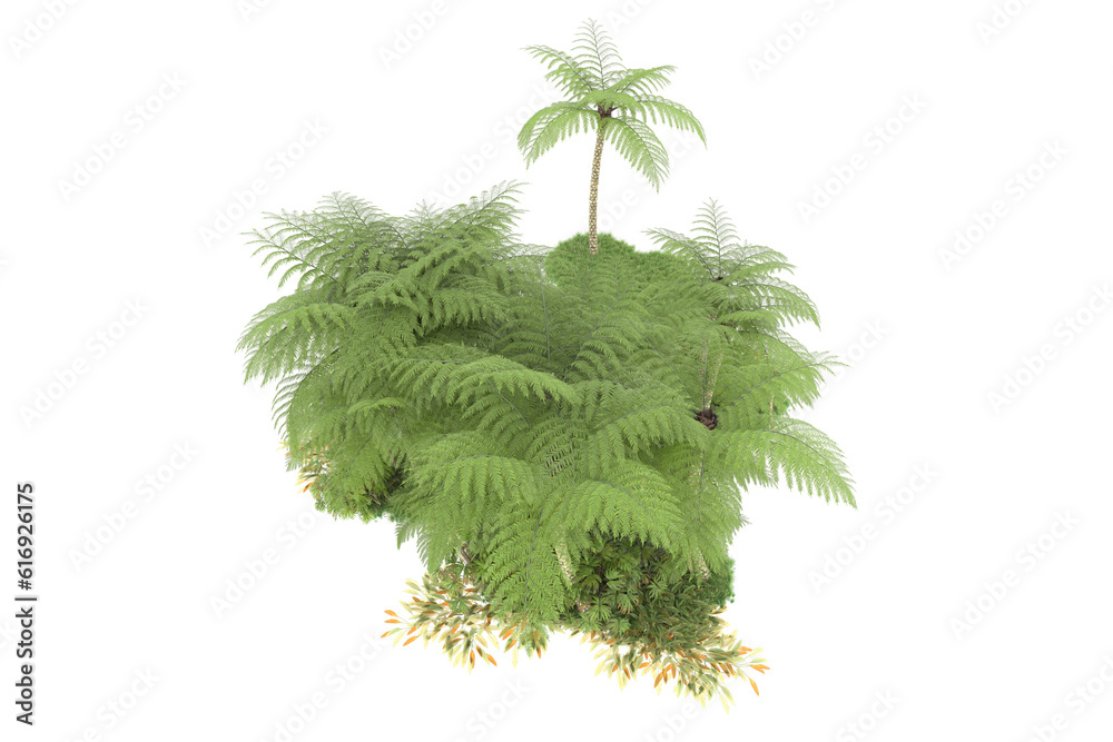 Tropical forest isolated on transparent background. 3d rendering - illustration Tropical forest isolated on transparent background. 3d rendering - illustration