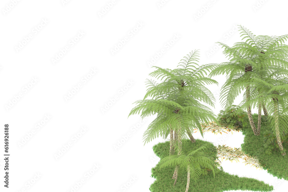 Tropical forest isolated on transparent background. 3d rendering - illustration Tropical forest isolated on transparent background. 3d rendering - illustration