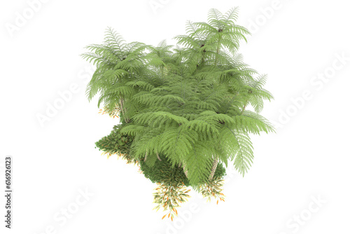 Tropical forest isolated on transparent background. 3d rendering - illustration