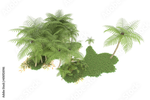 Tropical forest isolated on transparent background. 3d rendering - illustration © Cristian