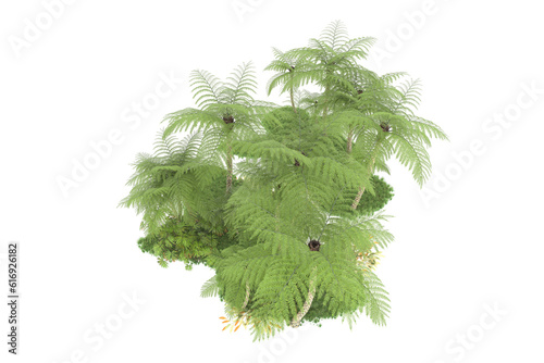 Tropical forest isolated on transparent background. 3d rendering - illustration