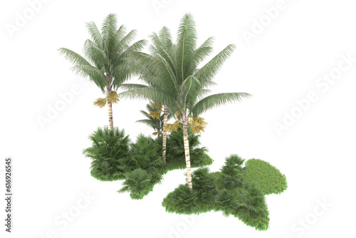 Tropical forest isolated on transparent background. 3d rendering - illustration