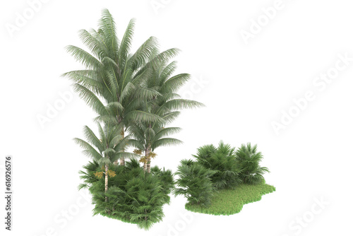 Tropical forest isolated on transparent background. 3d rendering - illustration