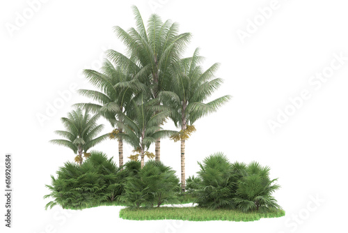 Tropical forest isolated on transparent background. 3d rendering - illustration