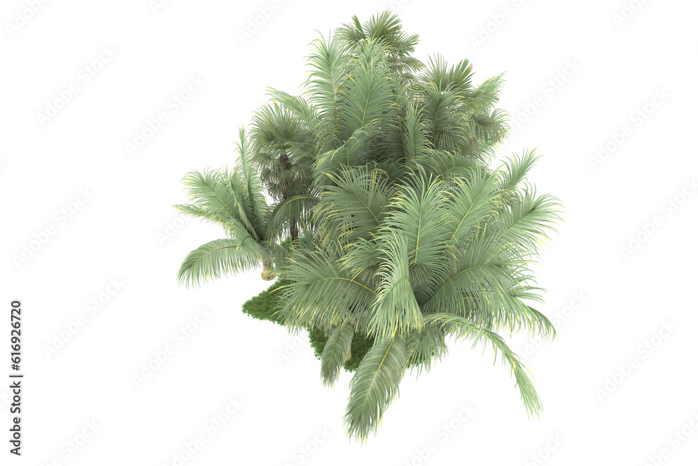 Tropical forest isolated on transparent background. 3d rendering - illustration Tropical forest isolated on transparent background. 3d rendering - illustration