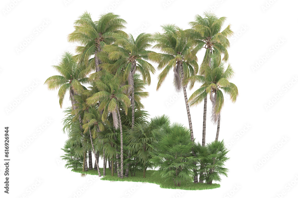Fototapeta premium Tropical forest isolated on transparent background. 3d rendering - illustration