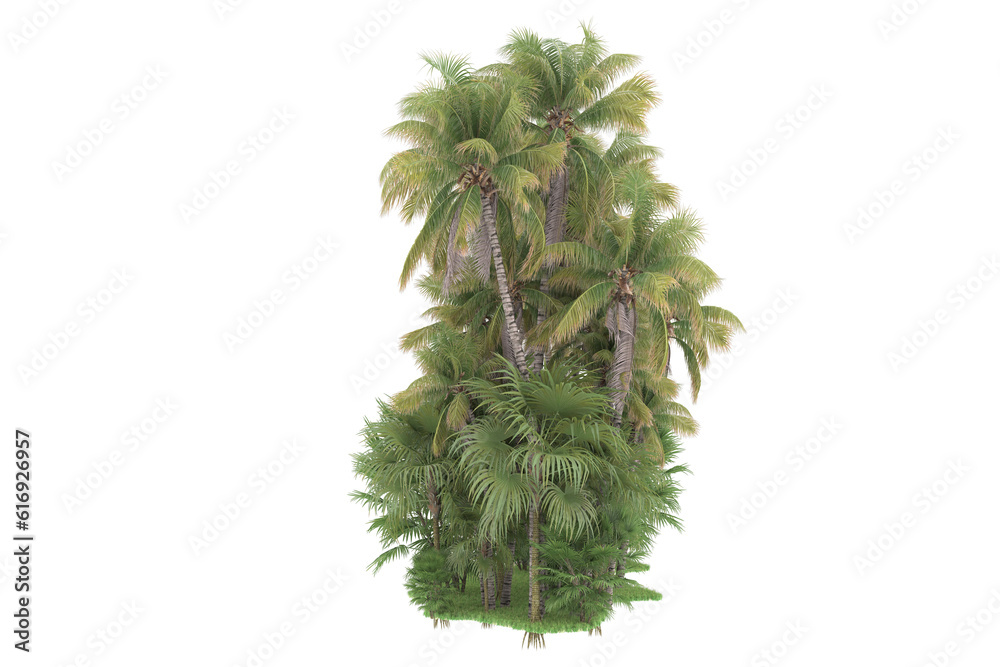 Tropical forest isolated on transparent background. 3d rendering - illustration