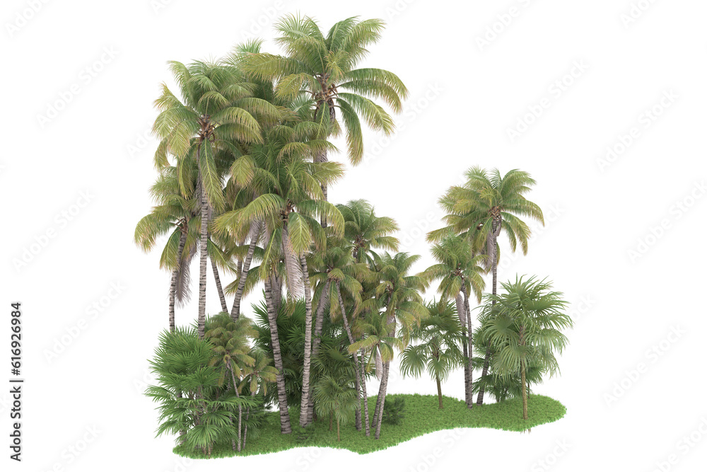 Tropical forest isolated on transparent background. 3d rendering - illustration